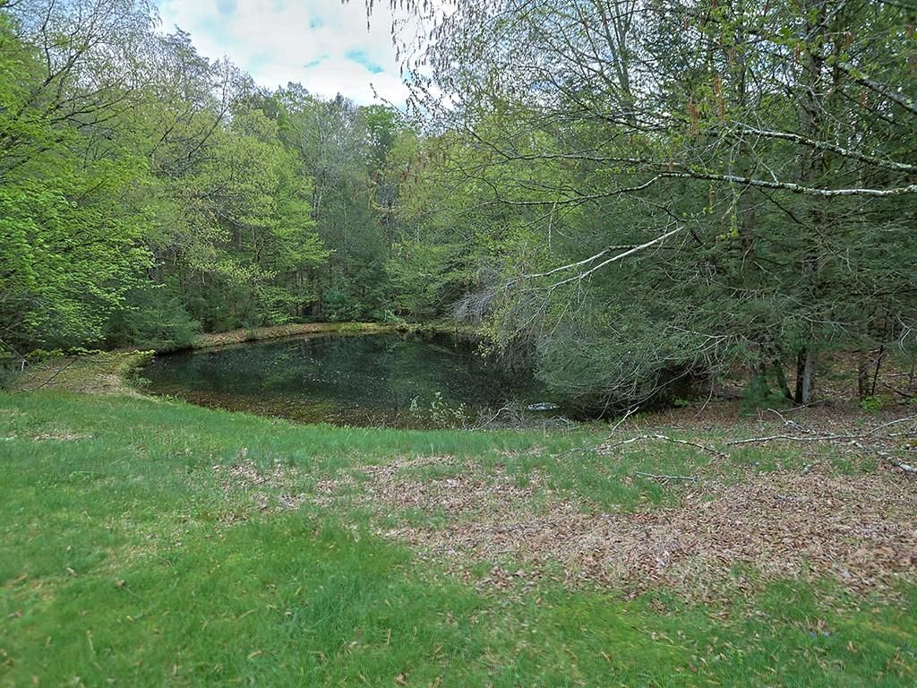 Exterior, Lake