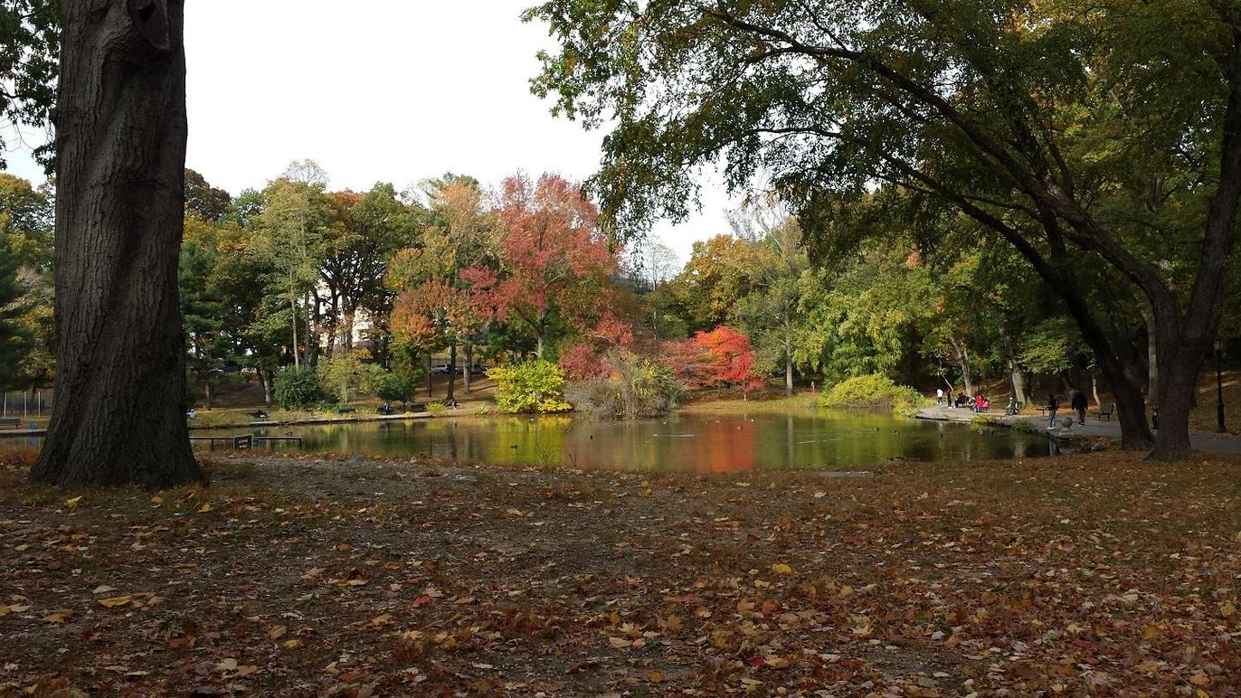 Exterior, Lake