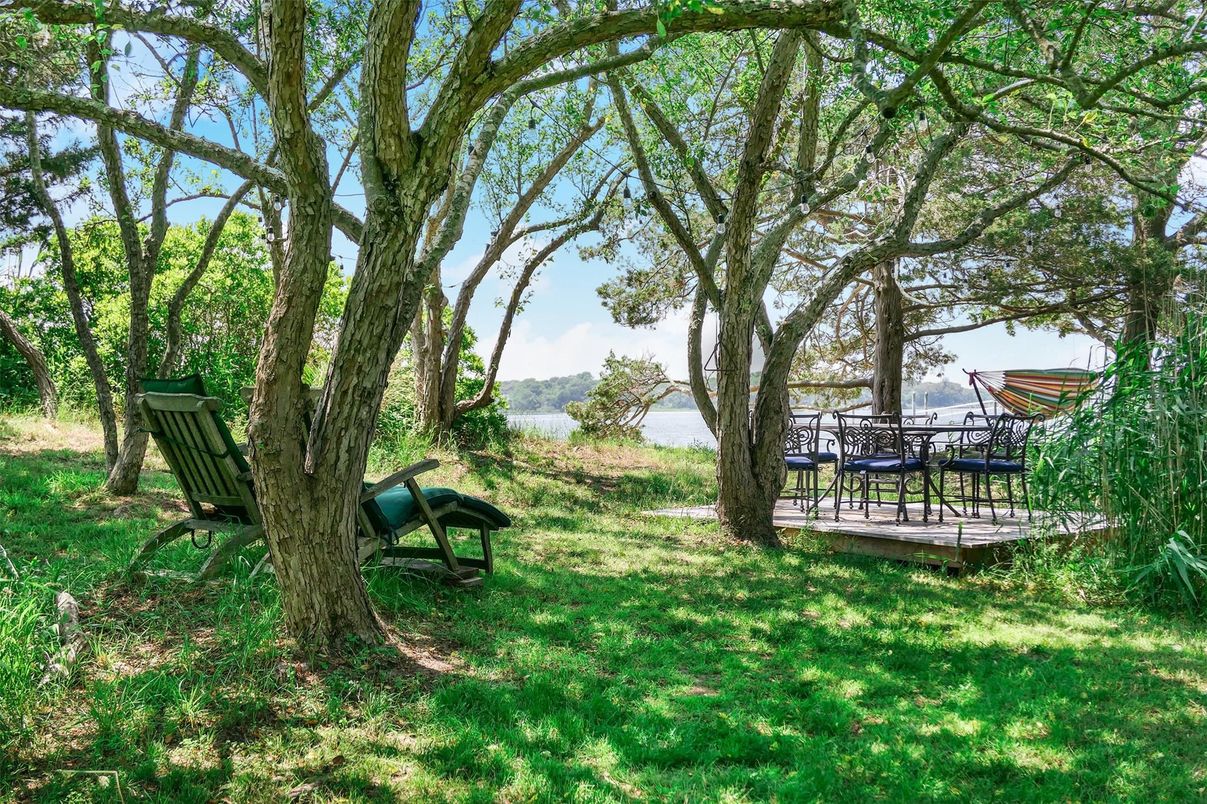 Backyard, Exterior, Water