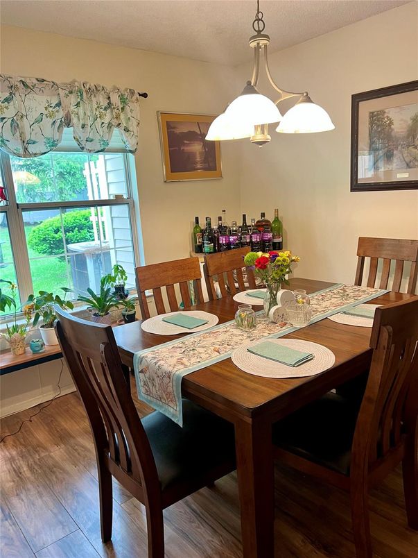 Dining room, Interior, Pendant Lights, Wood Texture Flooring