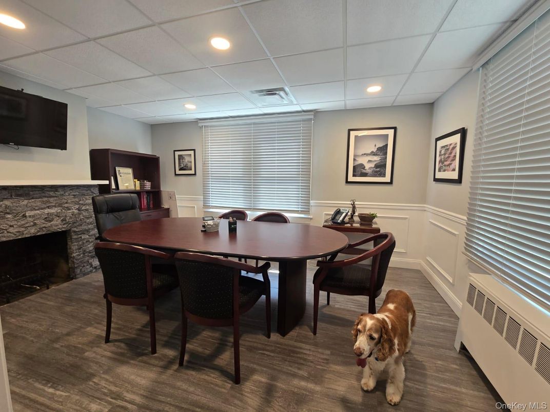 Dining room, Fireplace, Interior, Recessed Lighting, Wood Texture Flooring