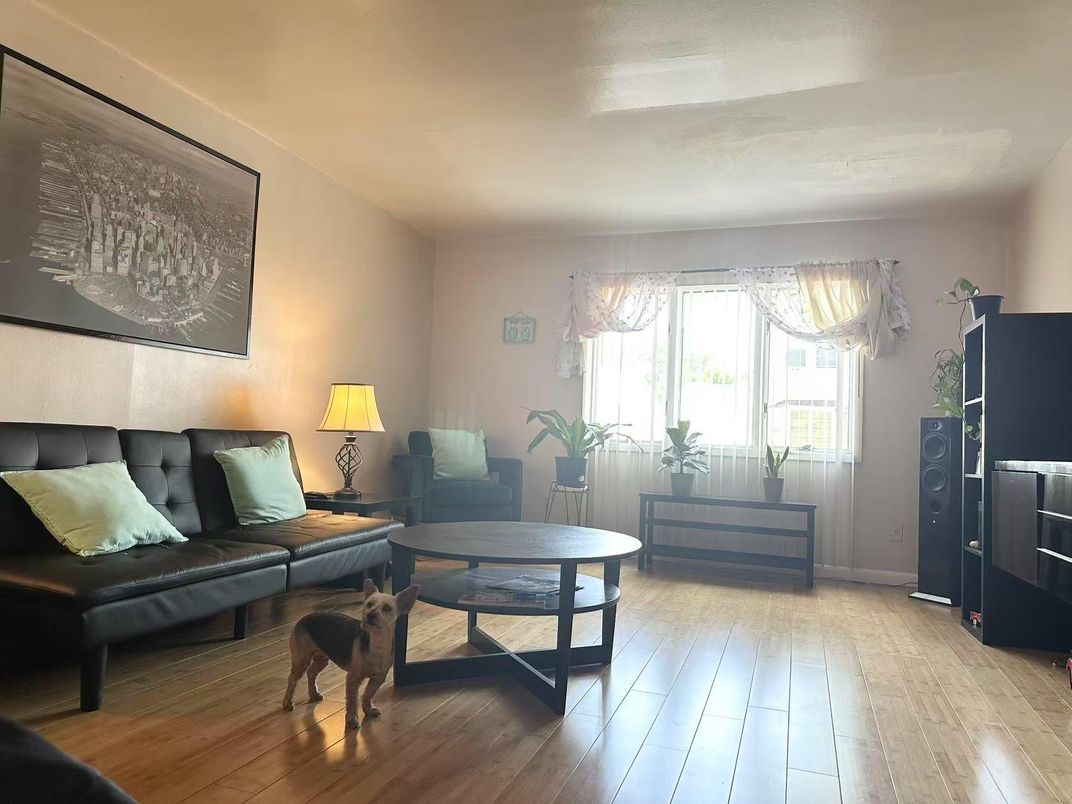 Interior, Living room, Wood Texture Flooring