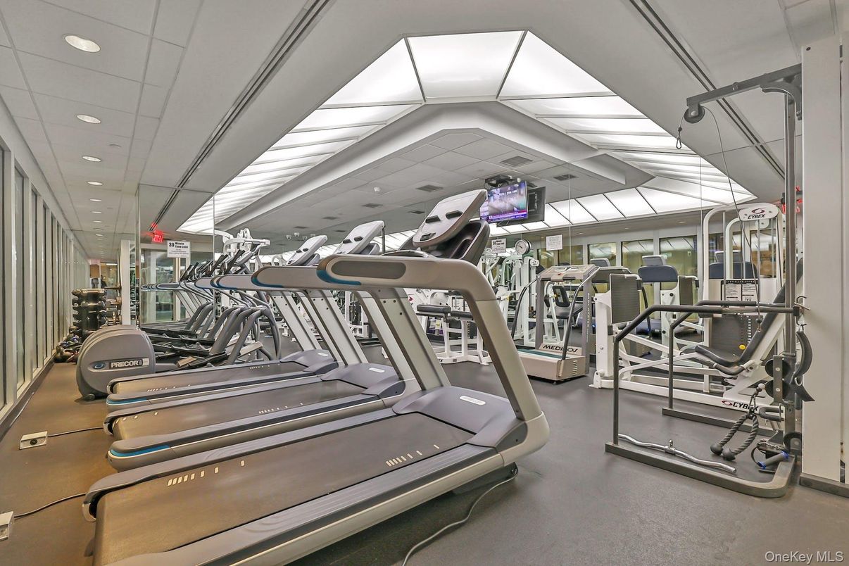 Fitness Equipment, Gym, Interior, Recessed Lighting