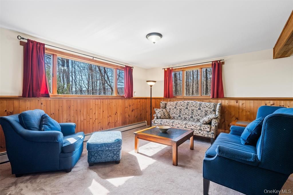 Interior, Living room, Wooden Walls