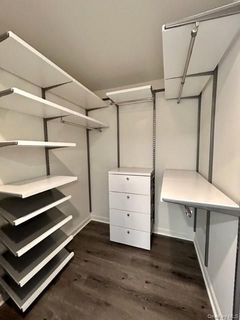 Interior, Walk-in Closets, Wood Texture Flooring