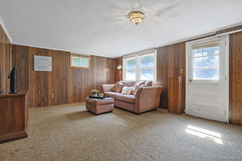 Interior, Living room, Wooden Walls