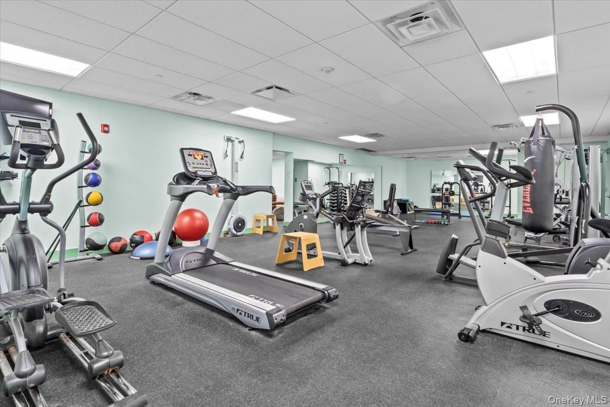 Fitness Equipment, Gym, Interior, Recessed Lighting