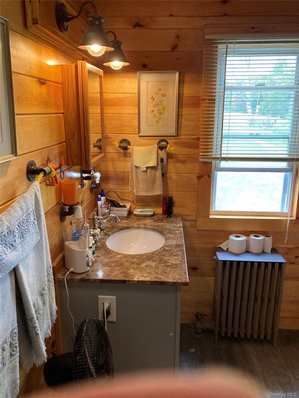 Bathroom, Interior, Wooden Walls