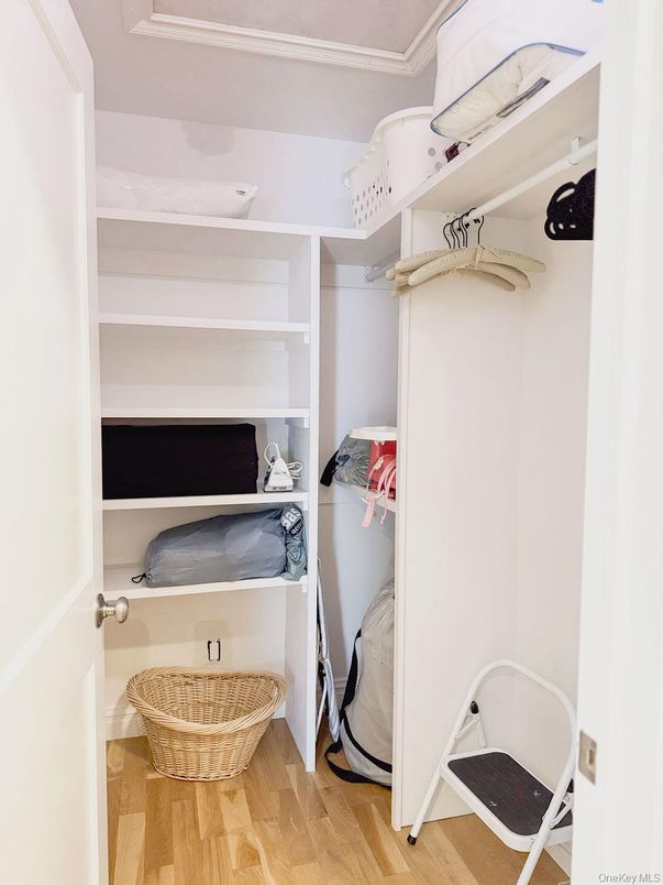 Interior, Walk-in Closets, Wood Texture Flooring