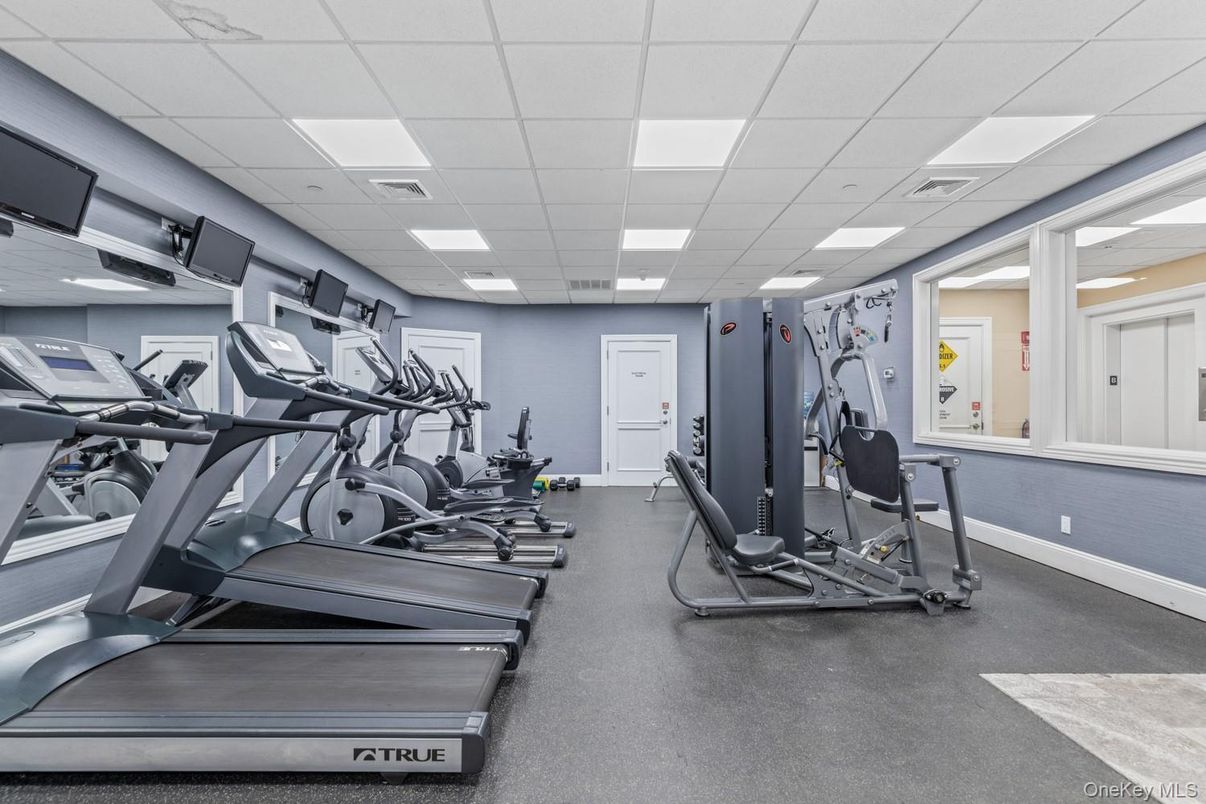 Fitness Equipment, Gym, Interior, Recessed Lighting