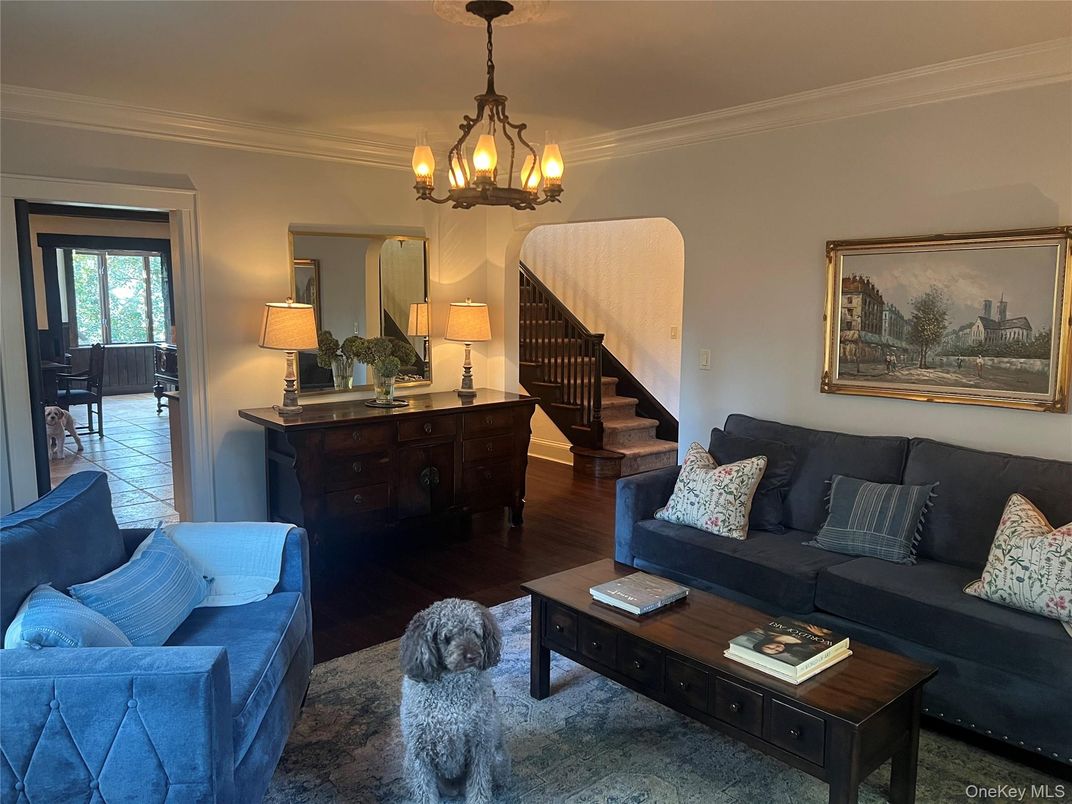 Chandelier, Interior, Living room, Wood Texture Flooring