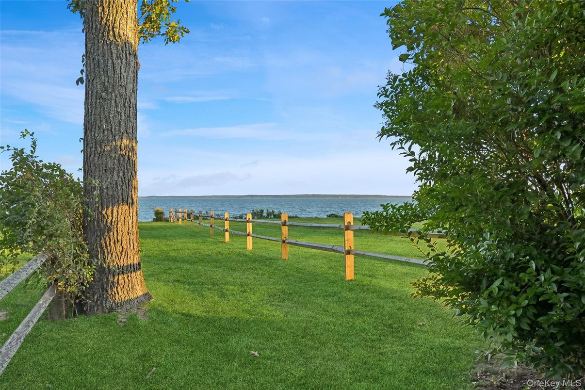 Backyard, Exterior, Water