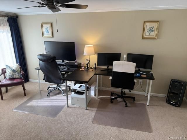 Home Office, Interior