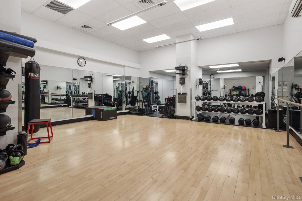 Fitness Equipment, Gym, Interior, Recessed Lighting, Wood Texture Flooring