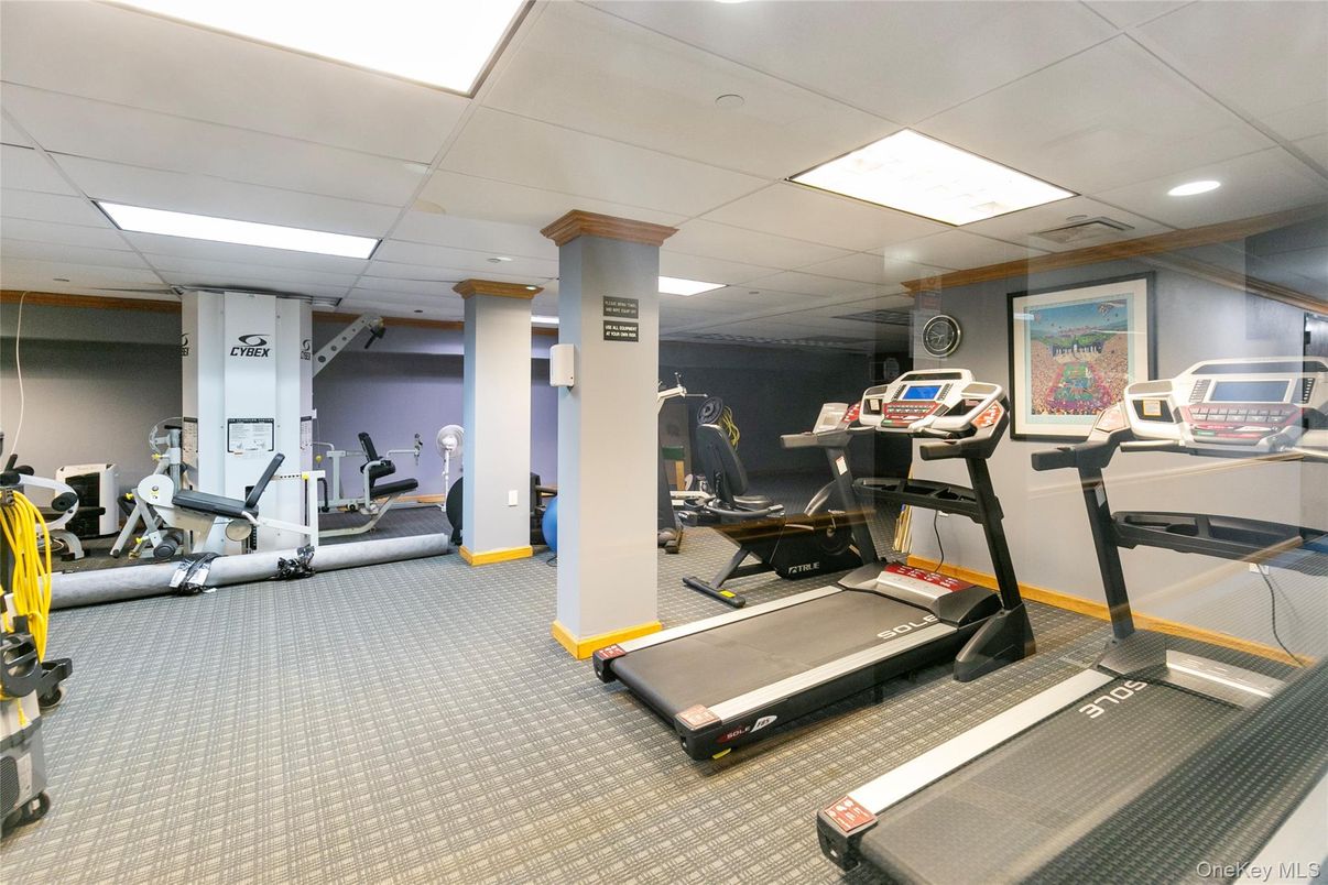 Fitness Equipment, Interior, Recessed Lighting