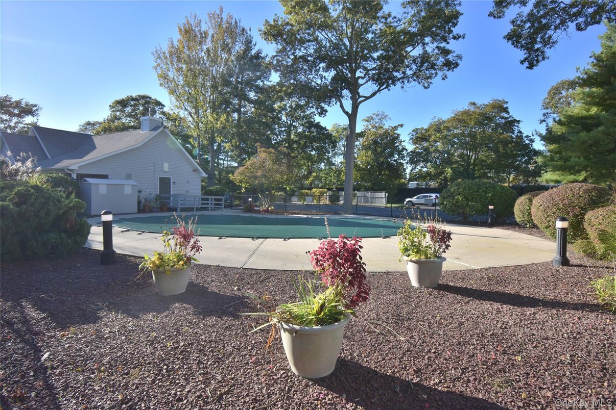 Backyard, Exterior, Pool