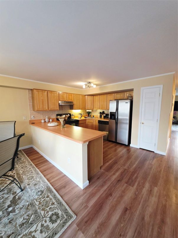 Interior, Kitchen, Stainless Steel Appliances, Wood Texture Flooring