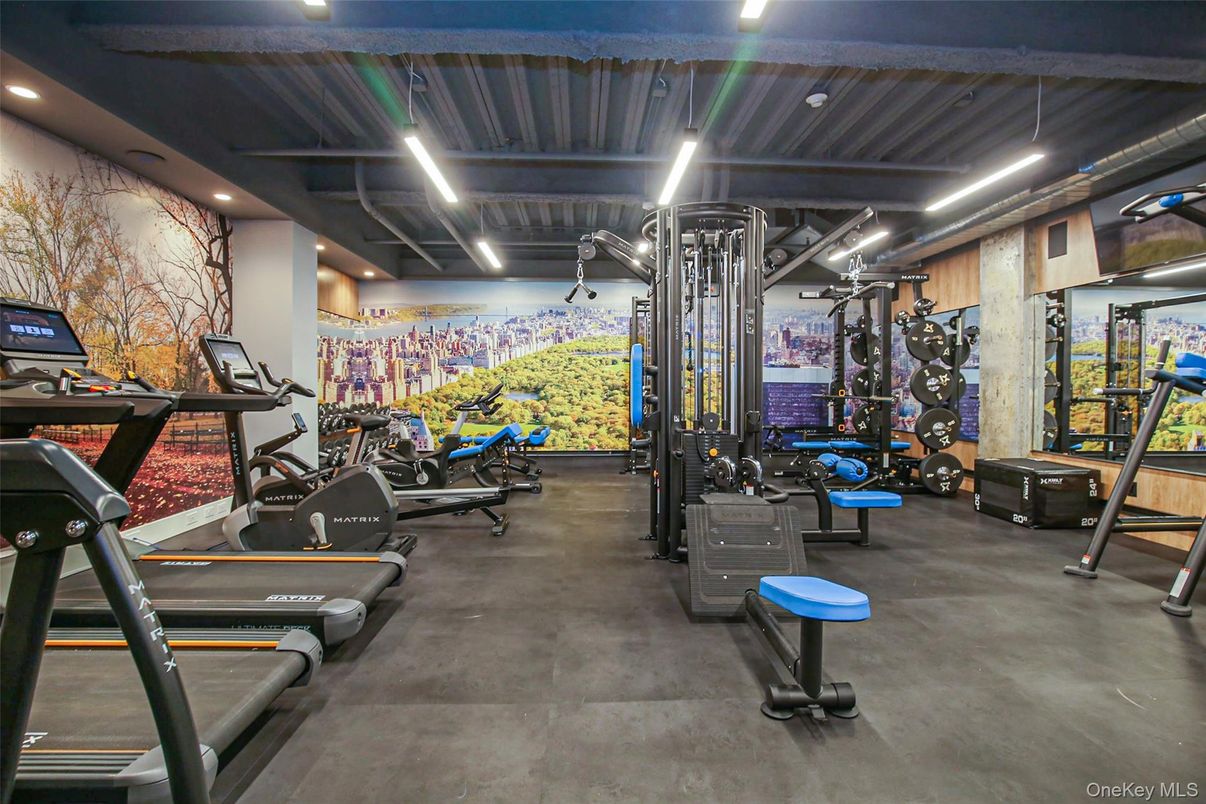 Fitness Equipment, Gym, Interior, Recessed Lighting
