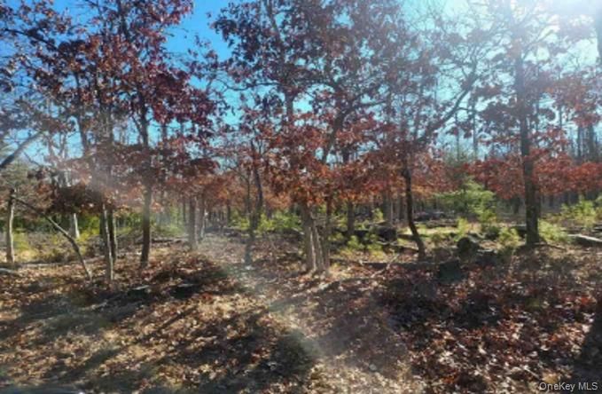 DE Listing image placeholder