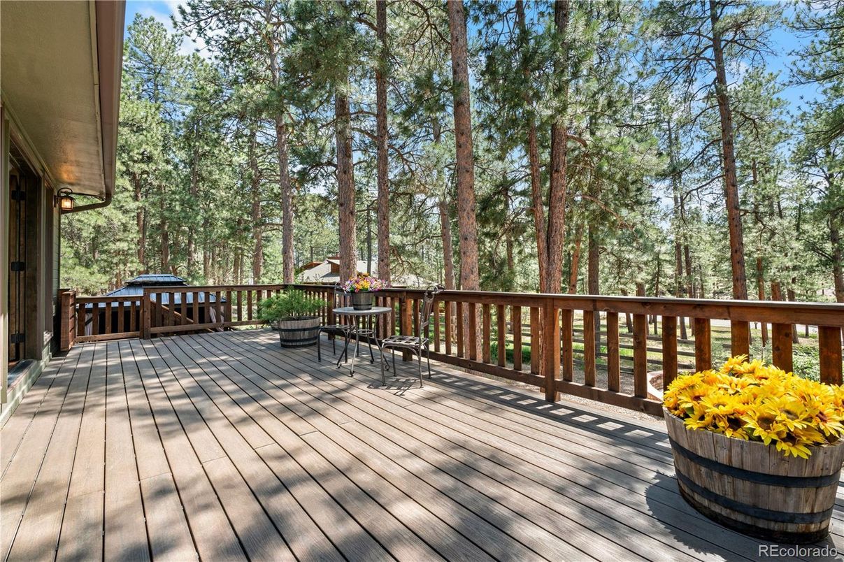 Exterior, Wood Texture Flooring