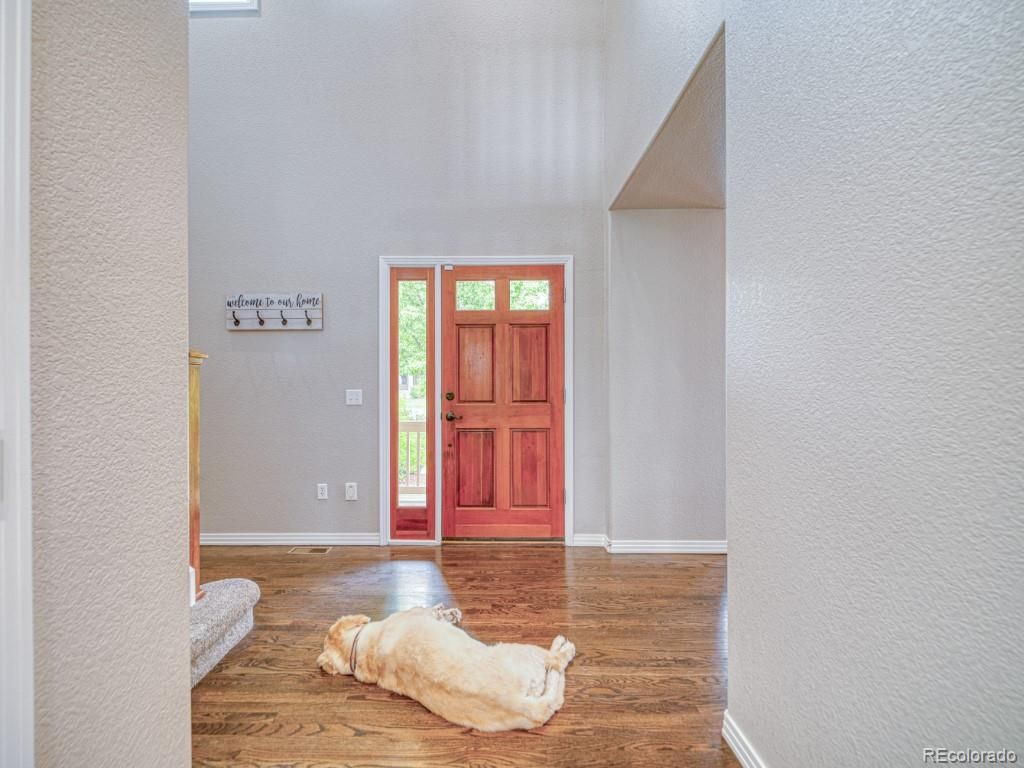 Interior, Wood Texture Flooring