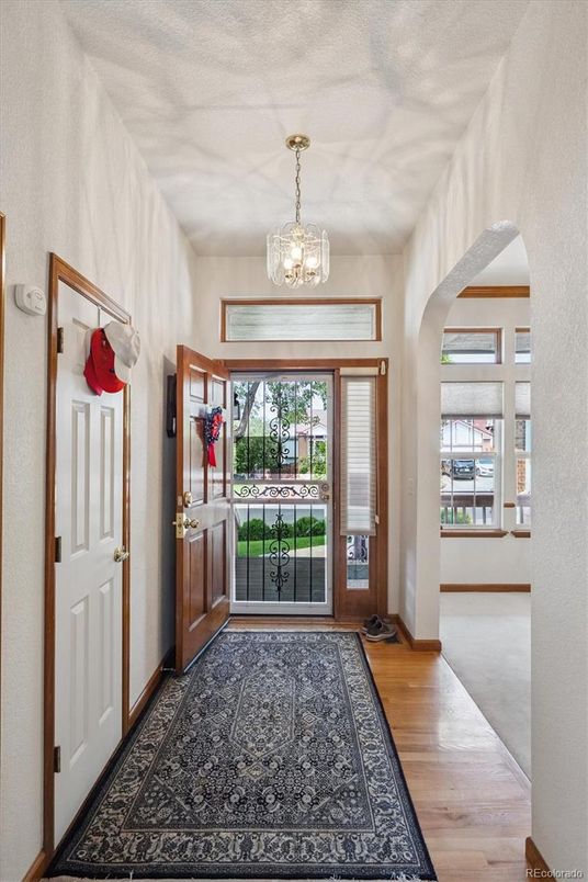 Chandelier, Interior, Wood Texture Flooring
