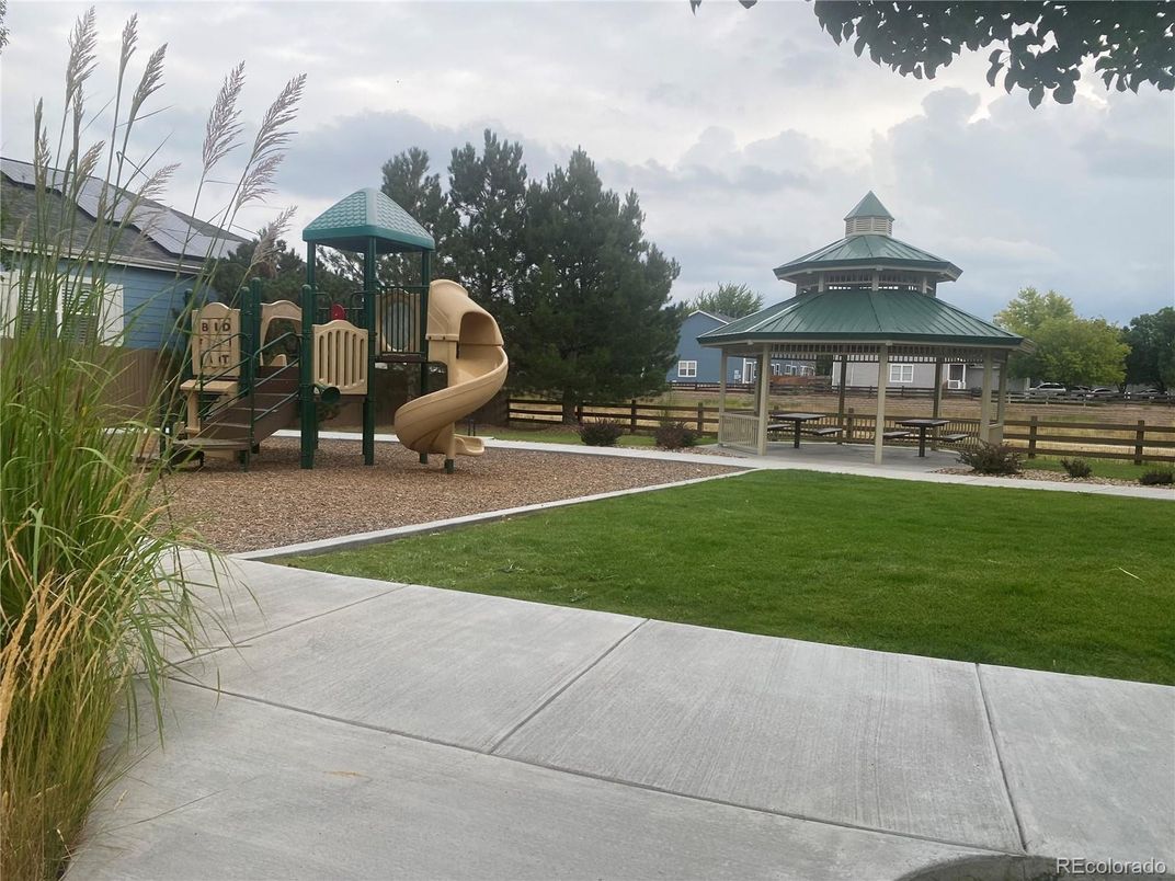 Backyard, Exterior, Playground