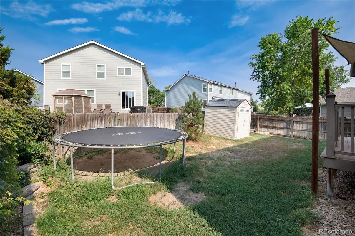 Backyard, Exterior, Playground