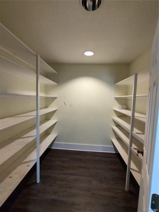 Interior, Recessed Lighting, Walk-in Closets, Wood Texture Flooring