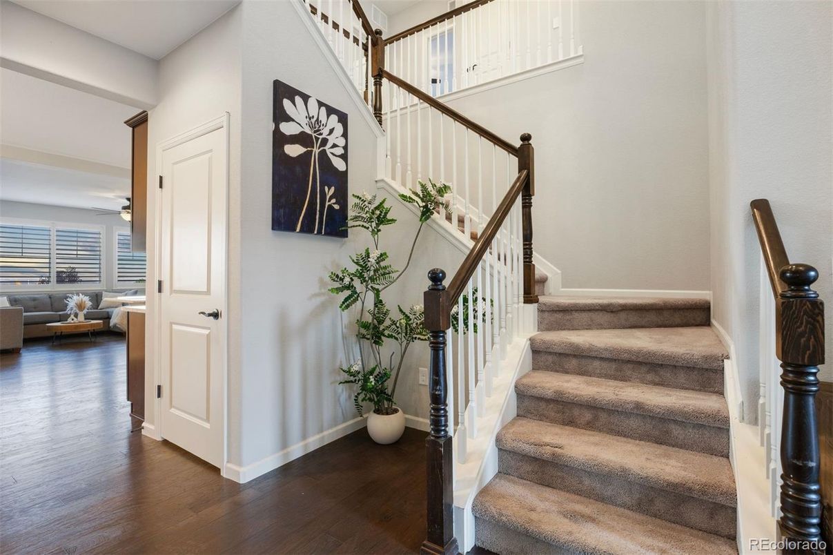 Interior, Wood Texture Flooring
