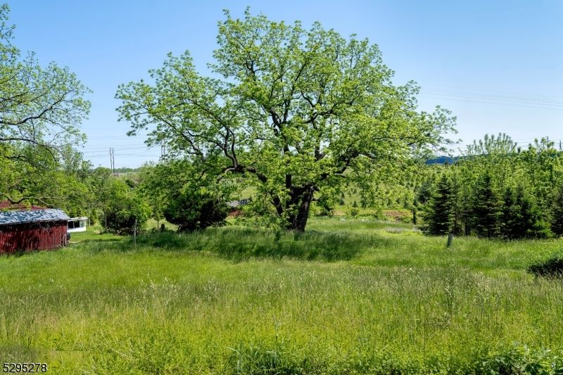 Backyard, Exterior, Hot Tub