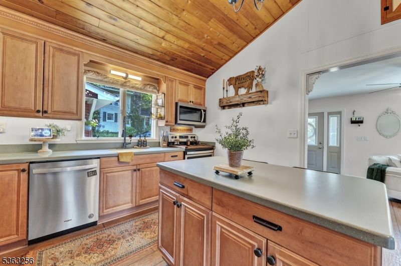 Interior, Kitchen, Stainless Steel Appliances, Wooden Ceilings, Wood Texture Flooring