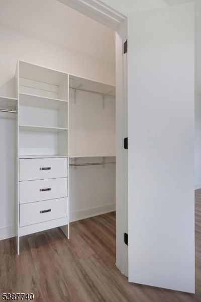 Interior, Walk-in Closets, Wood Texture Flooring