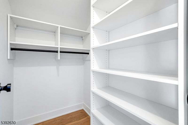 Interior, Walk-in Closets, Wood Texture Flooring