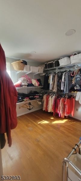 Interior, Walk-in Closets, Wood Texture Flooring