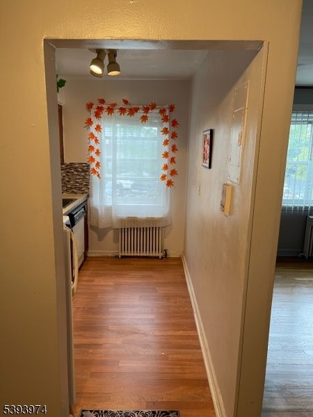 Interior, Wood Texture Flooring