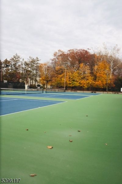 Exterior, Tennis Courts