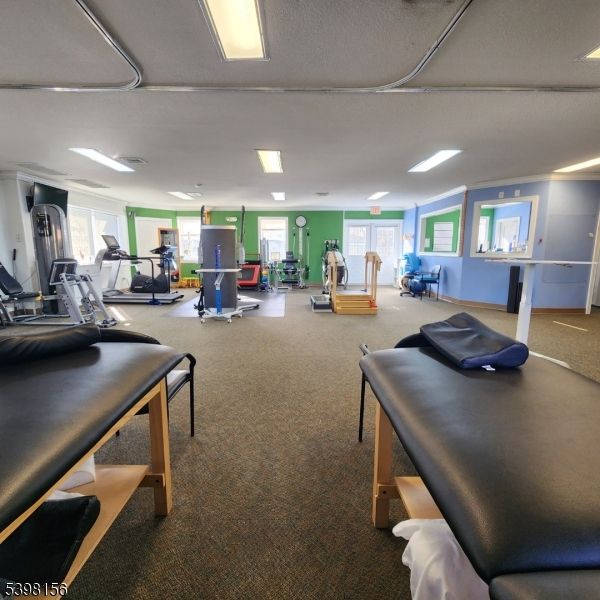 Fitness Equipment, Gym, Interior, Recessed Lighting