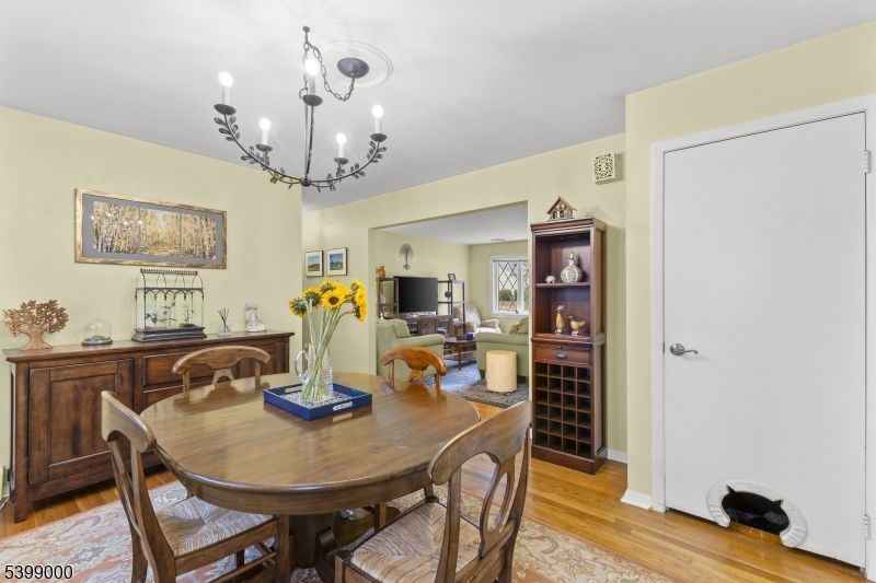 Chandelier, Dining room, Interior, Living room, Wood Texture Flooring