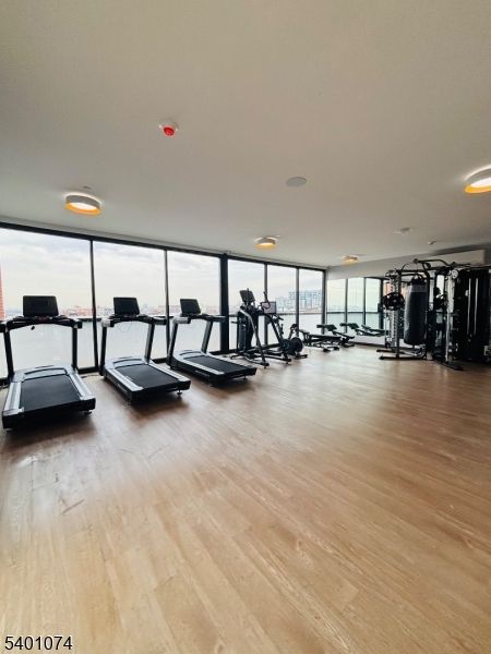 Fitness Equipment, Gym, Interior, Recessed Lighting, Wood Texture Flooring
