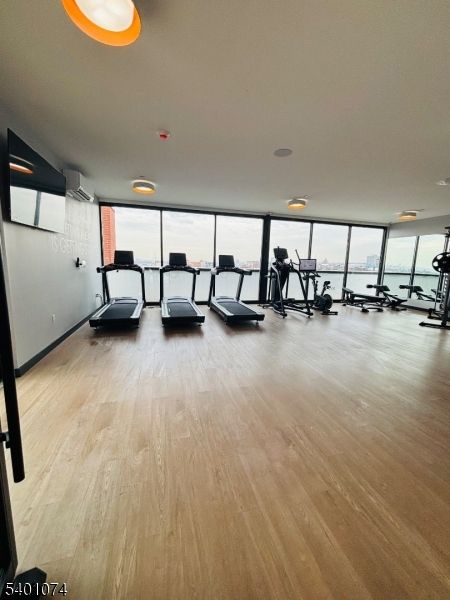 Fitness Equipment, Gym, Interior, Recessed Lighting, Wood Texture Flooring