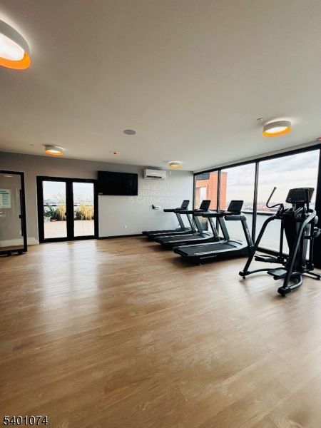 Fitness Equipment, Gym, Interior, Recessed Lighting, Wood Texture Flooring