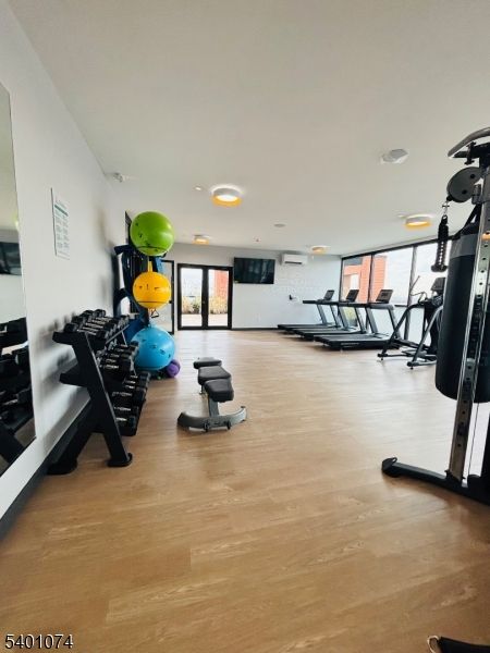 Fitness Equipment, Gym, Interior, Recessed Lighting, Wood Texture Flooring