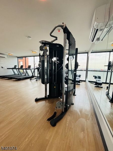 Fitness Equipment, Gym, Interior, Recessed Lighting, Wood Texture Flooring