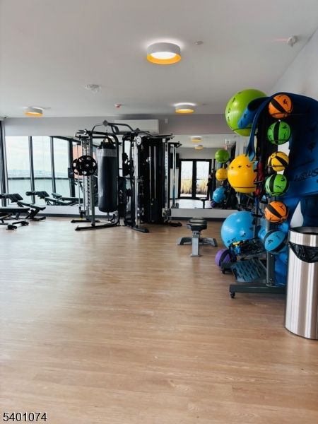 Fitness Equipment, Gym, Interior, Recessed Lighting, Wood Texture Flooring