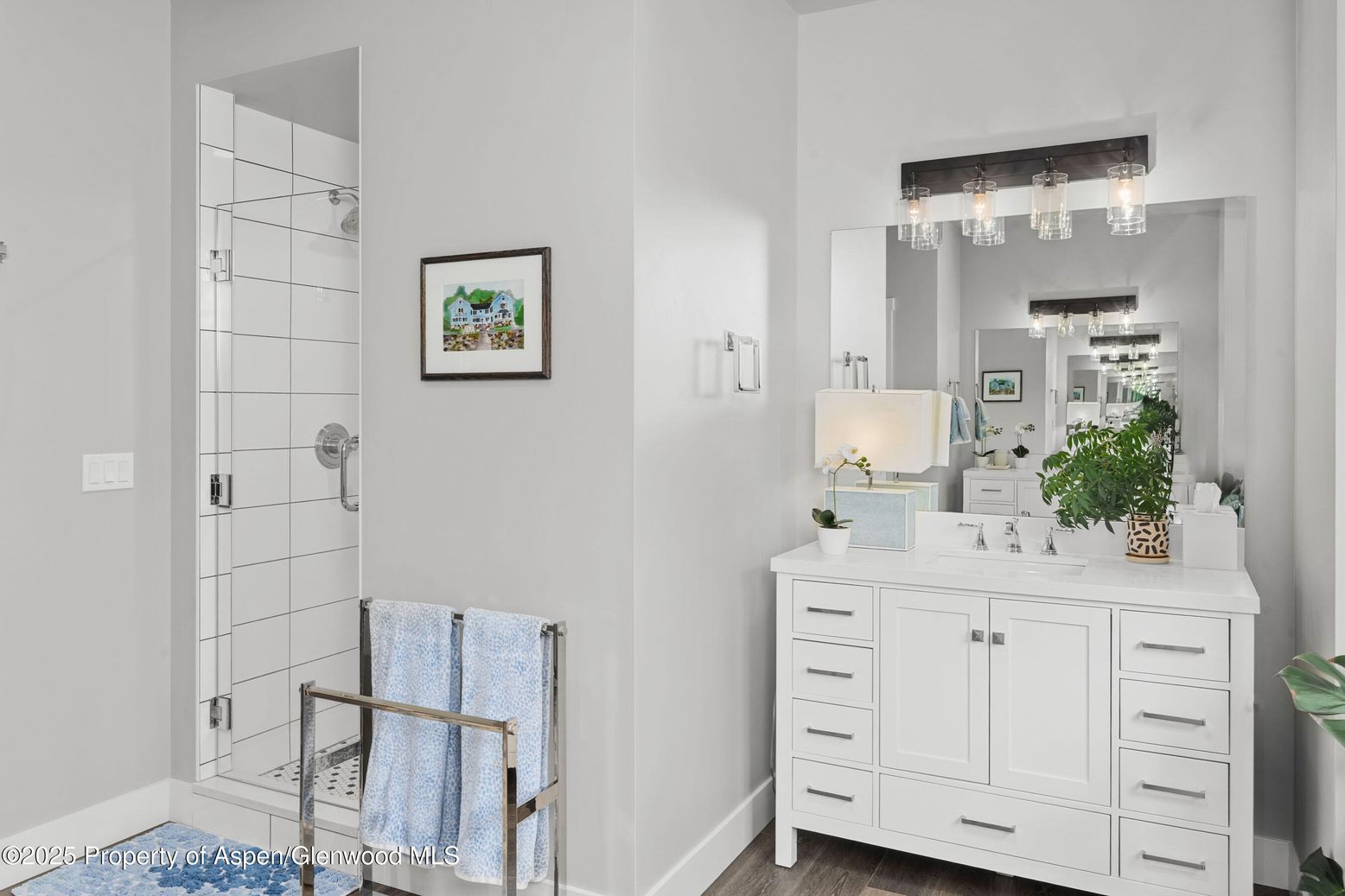 Bathroom, Interior, Wood Texture Flooring