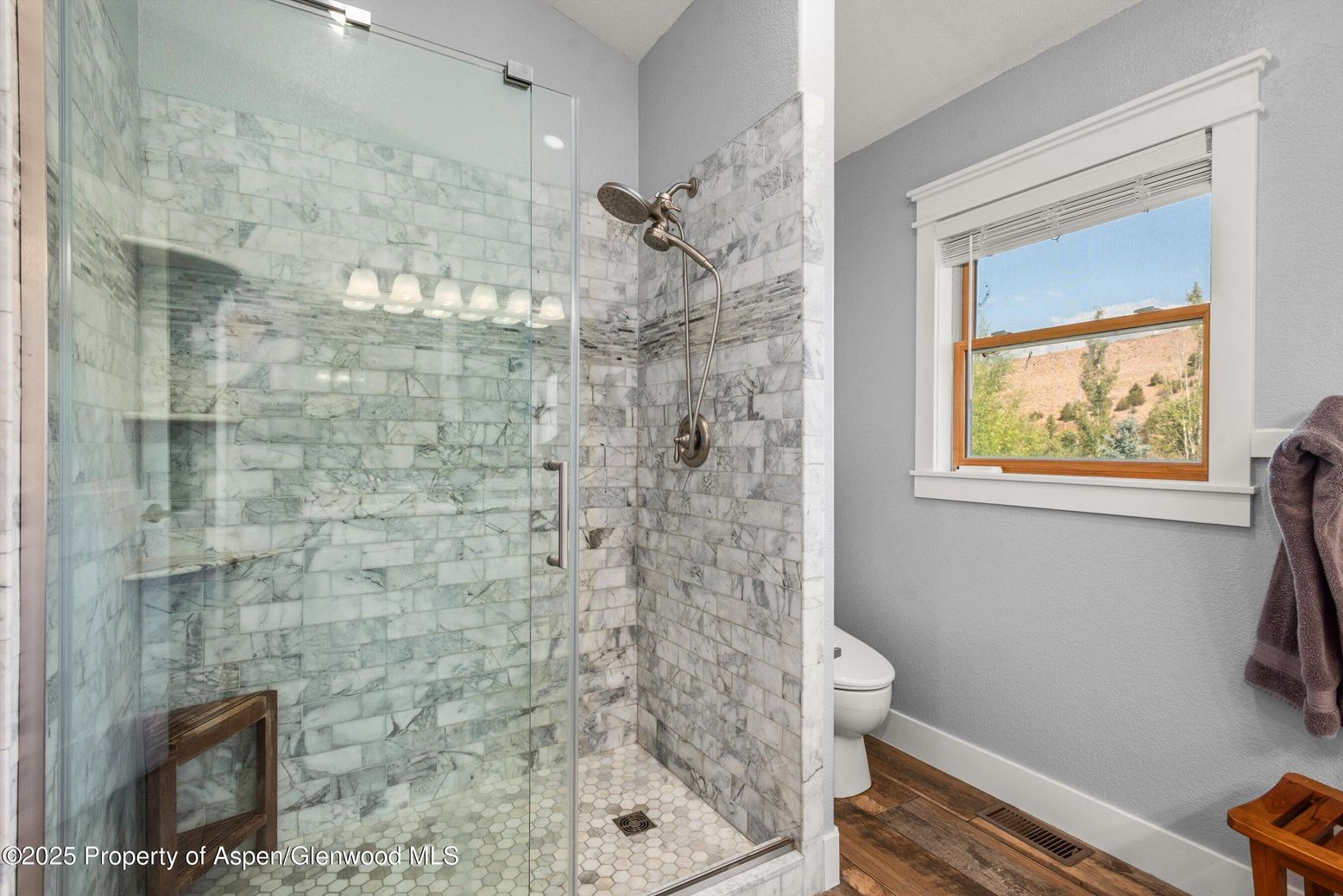 Bathroom, Glass Shower, Interior, Wood Texture Flooring