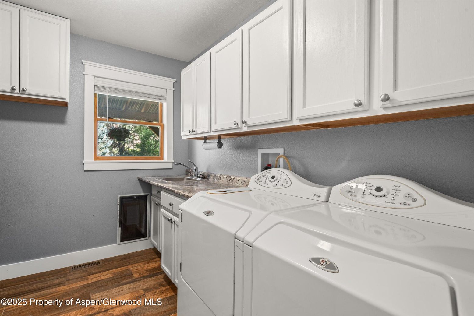 Interior, Washer, Wood Texture Flooring