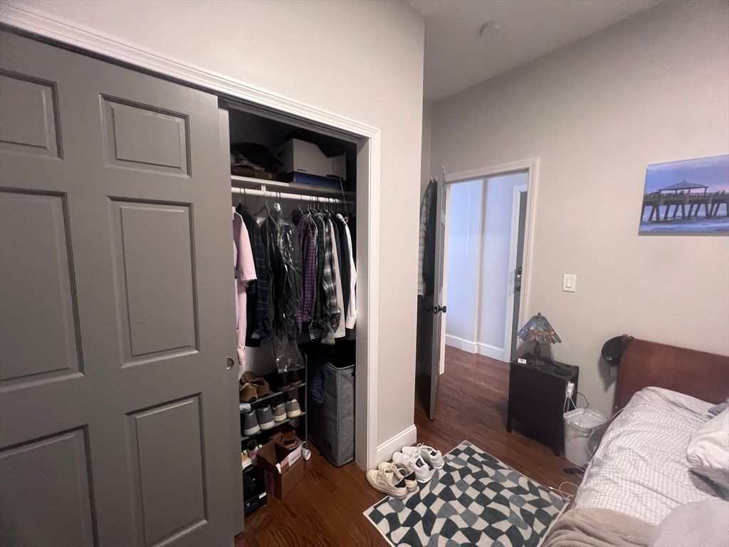 Interior, Walk-in Closets, Wood Texture Flooring