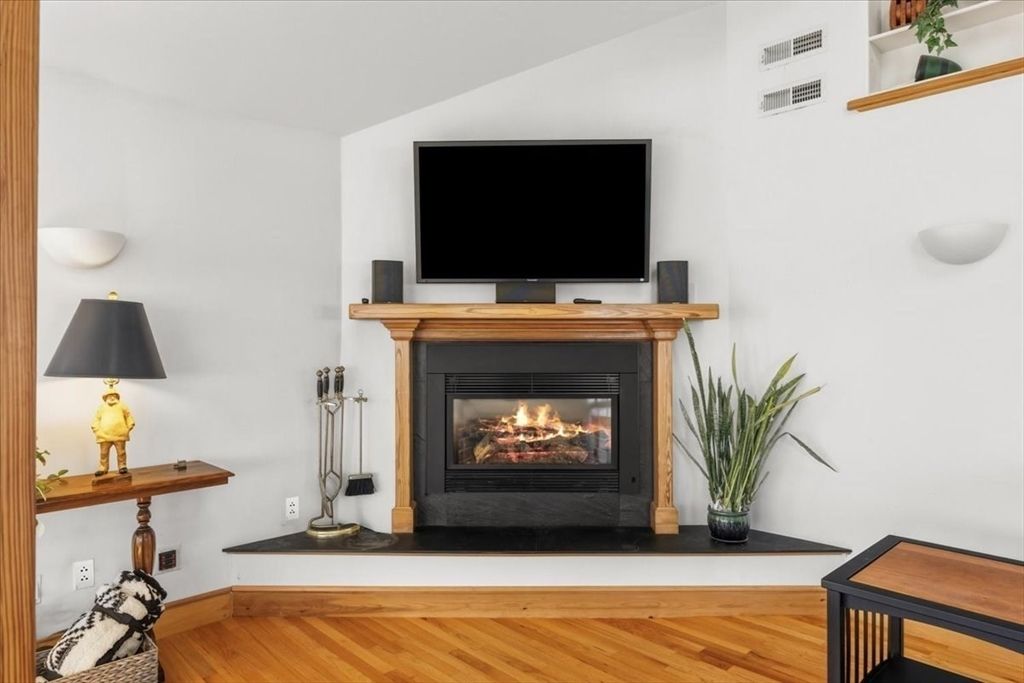 Fireplace, Interior, Wood Texture Flooring